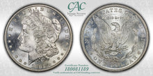 Load image into Gallery viewer, 1882-S $1 Morgan Dollar CACG MS66 -- Wonderful Blast White Gem w/ Nice Strike