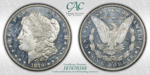 Load image into Gallery viewer, 1879-S $1 Morgan Dollar CACG MS65 DMPL Frosty White w/ Flashy Deep Mirrors