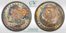 Load image into Gallery viewer, 1878-S $1 Morgan Dollar CACG MS65 - Stunning Vivid Russet, Blue & Yellow Toning