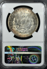 Load image into Gallery viewer, 1902-O $1 Morgan Dollar NGC MS65+ 🌟Star🌟 Magnificent Vivid Blue & Russet Toning