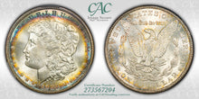 Load image into Gallery viewer, 1902-O $1 Morgan Dollar CACG MS65 Gold, Sea Green & Russet Peripheral Toned Gem