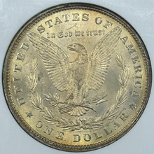Load image into Gallery viewer, 1880-P $1 Morgan Dollar NGC MS65 -- Lustrous Great Strike w/ Golden Reverse