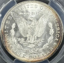 Load image into Gallery viewer, 1891-P $1 Morgan Dollar PCGS MS64+ CAC -- Breathtaking Lustrous Blast White