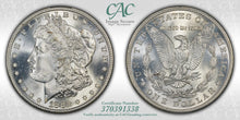 Load image into Gallery viewer, 1882-S $1 Morgan CACG MS66 -- Flashy Bright White Lustrous Gem - Strong Strike