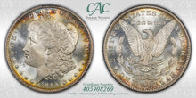 Load image into Gallery viewer, 1885-O $1 Morgan Dollar CACG MS67 - Frosty White Gem w/ Golden Peripheral Toning