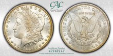 Load image into Gallery viewer, 1880-CC $1 Morgan Dollar CACG MS66 Amazing White Gem w/ Golden Peripheral Toning