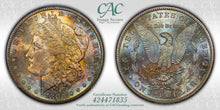Load image into Gallery viewer, 1880-S $1 Morgan Dollar CACG MS65 -- Golden Orange, Blue & Russet Toned Gem
