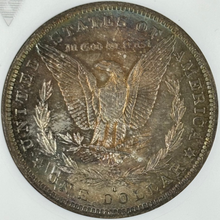 Load image into Gallery viewer, 1884-O $1 Morgan Dollar VAM-32 ANACS MS65 Fabulous Blue, Green & Russet Soapbox