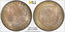 Load image into Gallery viewer, 1901-O $1 Morgan Dollar PCGS MS66+ -- Fantastic Bright Orange & Gold Toned Gem