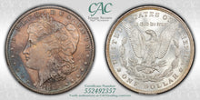 Load image into Gallery viewer, 1888-P $1 Morgan Dollar CACG MS65 -- Marvelous Russet & Vivid Blue Toned Gem