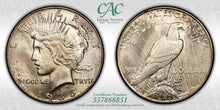 Load image into Gallery viewer, 1935-P $1 Peace Dollar CACG MS66 -- Incredibly Lustrous Gem w/ Subtle Toning
