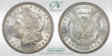 Load image into Gallery viewer, 1881-CC $1 Morgan Dollar CACG MS65 -- Blast White Frosty Gem w/ Great Strike!