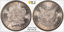 Load image into Gallery viewer, 1883-CC $1 Morgan Dollar PCGS MS65 Stunning Blast White Lustrous Gem Nice Strike