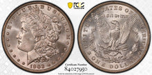 Load image into Gallery viewer, 1902-P Morgan Silver Dollar PCGS MS65 (CAC) -- Beautiful Frosty Blast White Gem