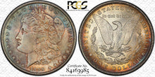 Load image into Gallery viewer, 1889-P Morgan Silver Dollar MS65 CAC - - Sea Green and Golden Toning