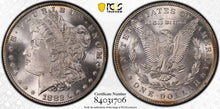 Load image into Gallery viewer, 1882-P Morgan Silver Dollar PCGS MS65 -- Strong Strike, Frosty & Blast White
