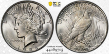 Load image into Gallery viewer, 1928-S Peace Dollar PCGS MS64 - Lustrous & Blast White Gem -- An Exceptional Coin