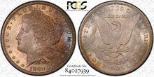 Load image into Gallery viewer, 1880-CC $1 Morgan Dollar PCGS MS66+ True To The Grade - GEM w/ Beautiful Toning