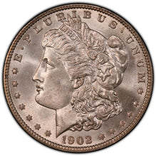 Load image into Gallery viewer, 1902-P Morgan Silver Dollar PCGS MS65 (CAC) -- Beautiful Frosty Blast White Gem