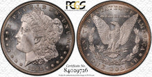 Load image into Gallery viewer, 1885-P Morgan Silver Dollar PCGS MS65 DMPL (DPL) -- Black & White & Deep Mirrors