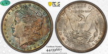 Load image into Gallery viewer, 1902-P Morgan Silver Dollar PCGS MS66 (CAC) - - Toned - It's A Greenie!