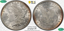 Load image into Gallery viewer, 1891-P Morgan Silver Dollar PCGS MS64+ CAC - Blast White Surfaces