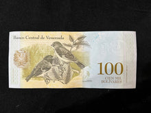 Load image into Gallery viewer, 25 X 2017 Venezuela 100 Mil Bolivares (100,000) Banknote UNC (Uncirculated)