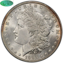 Load image into Gallery viewer, 1891-P Morgan Silver Dollar PCGS MS64+ CAC - Blast White Surfaces