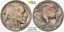 Load image into Gallery viewer, 1927-D Buffalo Nickel 5¢ Secure PCGS MS64 -- Well struck!