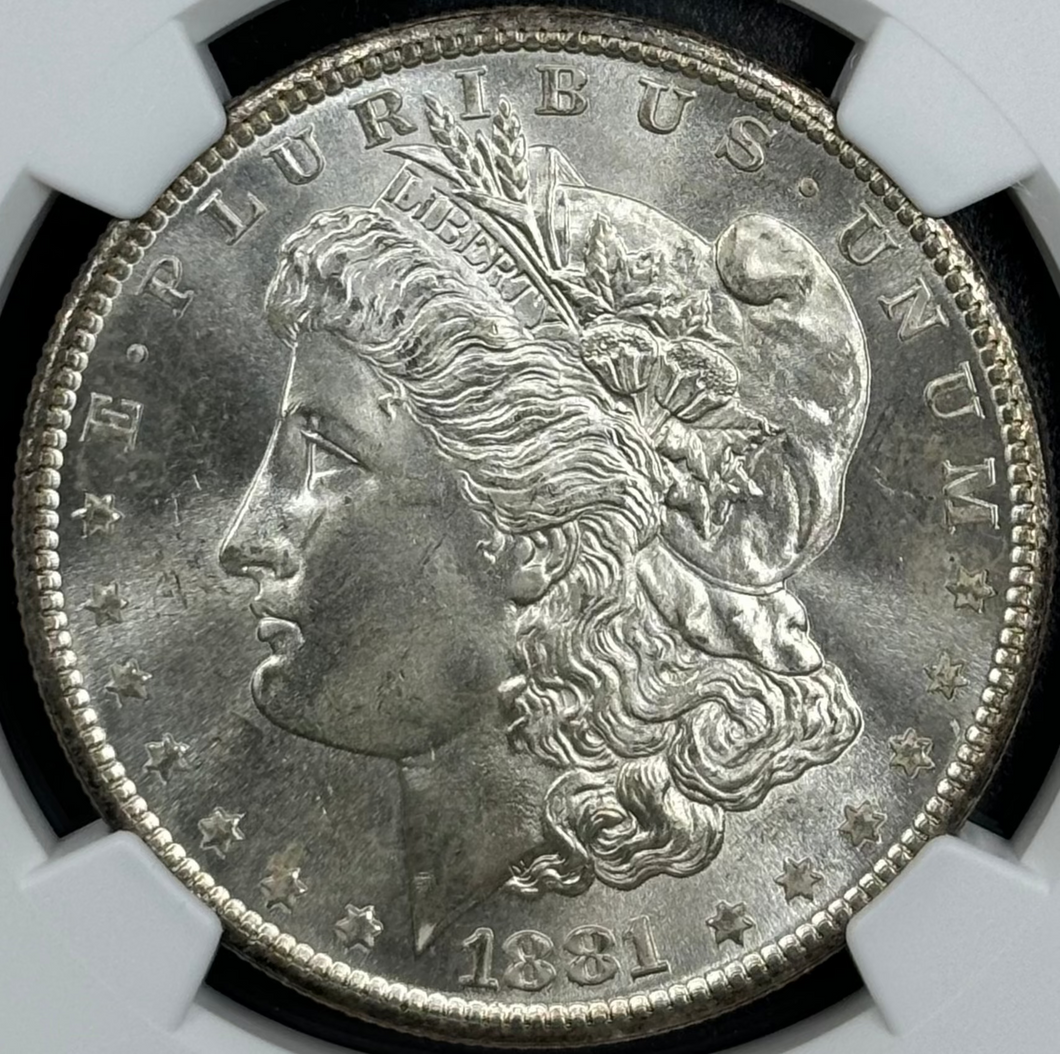 1881-S $1 Morgan Dollar NGC MS66+ -- Blast White Gem w/ Incredible Toned Reverse