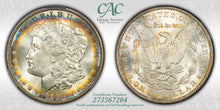 Load image into Gallery viewer, 1902-O $1 Morgan Dollar CACG MS65 Gold, Sea Green &amp; Russet Peripheral Toned Gem
