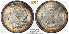 Load image into Gallery viewer, 1902-O $1 Morgan Dollar PCGS MS67 Gorgeous Blue &amp; Golden Orange Peripheral Toned
