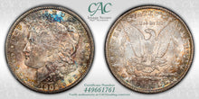 Load image into Gallery viewer, 1902-O $1 Morgan Dollar CACG MS65 -- Wonderful Russet, Orange &amp; Blue Toned Gem
