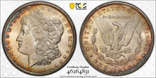 Load image into Gallery viewer, 1891-CC $1 Morgan Dollar PCGS MS64 -- Fantastic Orange &amp; Blue Peripheral Toning
