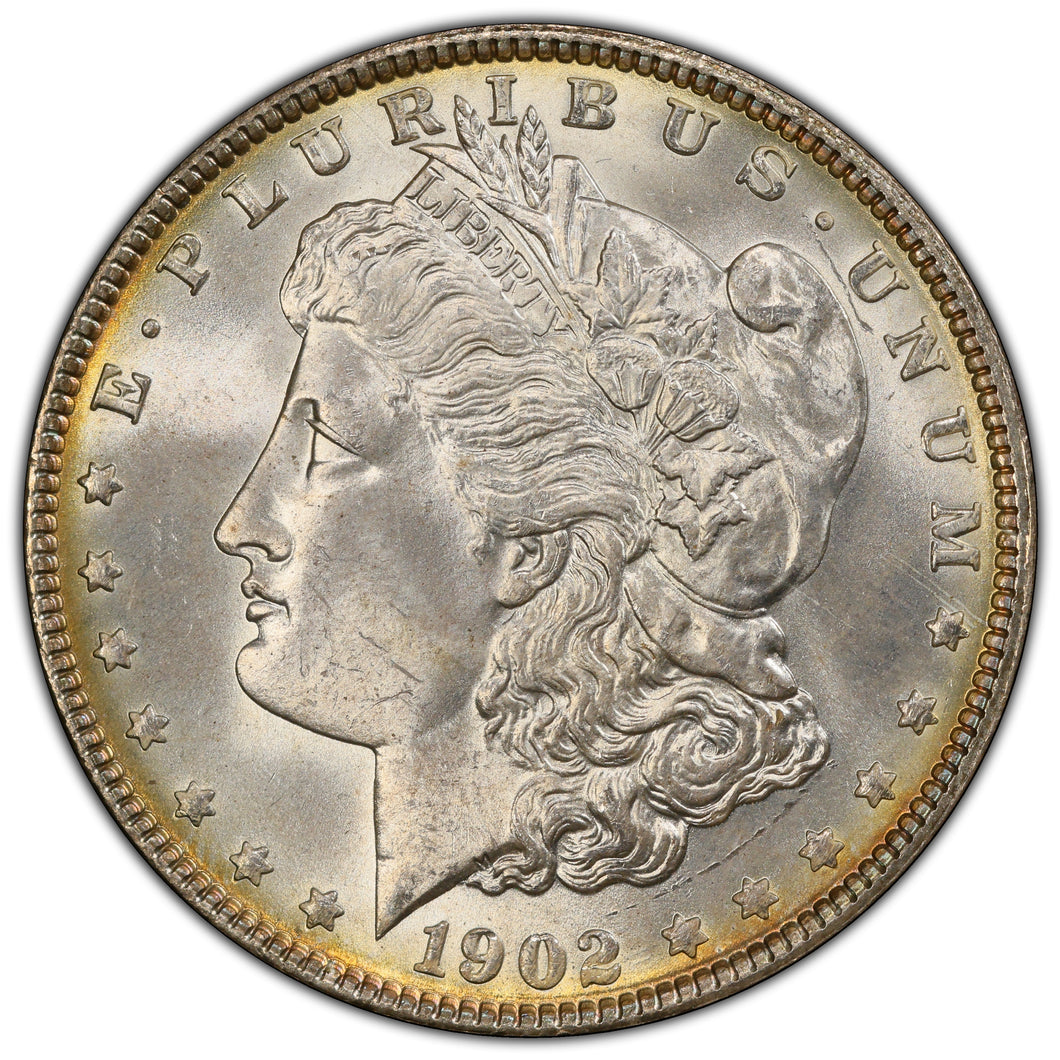 1902-P $1 Morgan Dollar PCGS MS66 Wonderful Gem w/ Light Gold Peripheral Toning