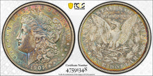 Load image into Gallery viewer, 1901-P $1 Morgan Dollar PCGS AU50 - Marvelous Bright Blue, Green &amp; Russet Toning

