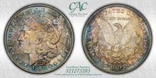 Load image into Gallery viewer, 1878-S $1 Morgan Dollar CACG MS65 -- Vivid Blue, Russet &amp; Gold Toned Gem
