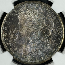 Load image into Gallery viewer, 1881-S $1 Morgan NGC MS66 -- Stellar Deep Blue &amp; Russet Toned Gem - A Blueberry!
