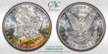 Load image into Gallery viewer, 1881-S $1 Morgan Dollar CACG MS66 -- White Gem w/ Fiery Orange Peripheral Toning
