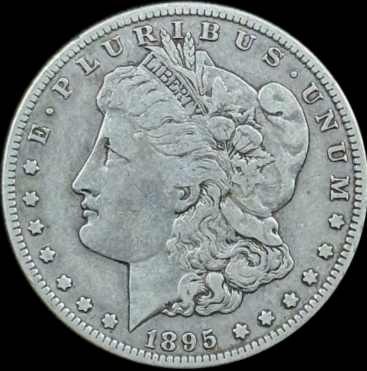 1895-S $1 Morgan Dollar - Raw VF - See Pictures
