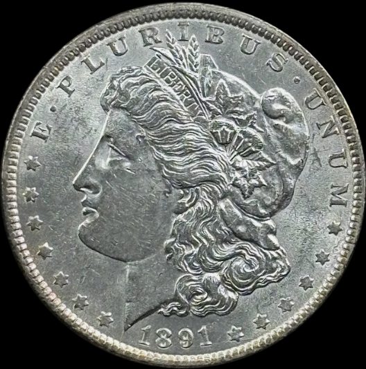 1891-P $1 Morgan Dollar - Raw UNC - See Pictures