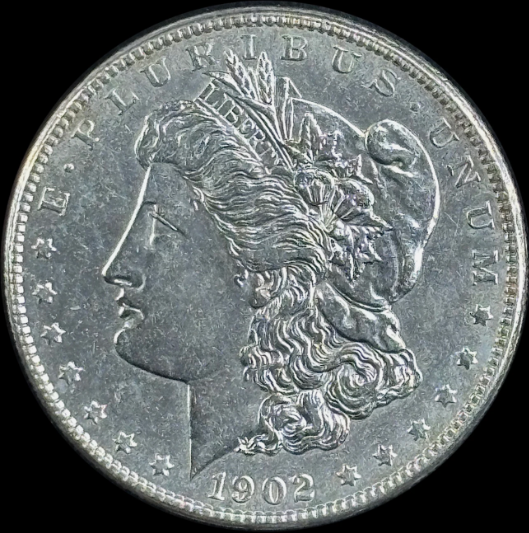 1902-O $1 Morgan Dollar - Raw UNC - See Pictures