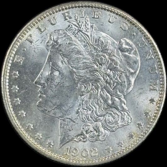 1902-O $1 Morgan Dollar - Raw AU - See Pictures