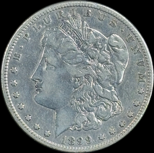 1899-S $1 Morgan Dollar - Raw VF - See Pictures
