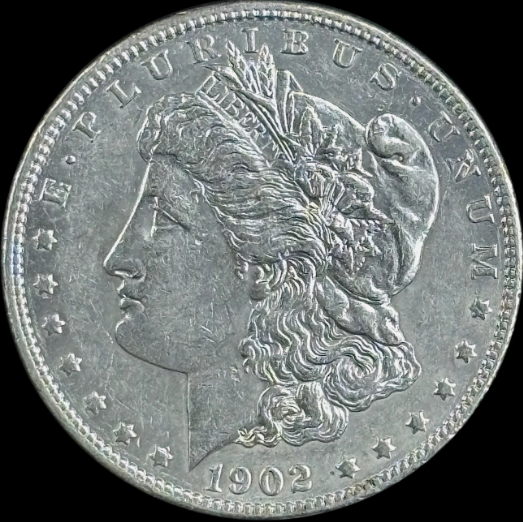1902-P $1 Morgan Dollar - Raw AU - See Pictures