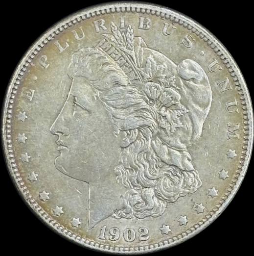 1902-P $1 Morgan Dollar - Raw AU - See Pictures