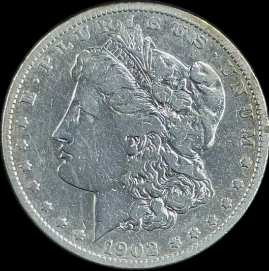1902-S $1 Morgan Dollar - Raw VF - See Pictures