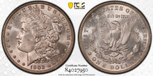 Load image into Gallery viewer, 1902-P Morgan Silver Dollar PCGS MS65 (CAC) -- Beautiful Frosty Blast White Gem
