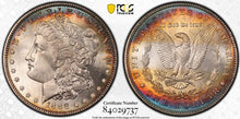 Load image into Gallery viewer, 1888-P Morgan Silver Dollar PCGS MS66 - Gorgeous Golden &amp; Blue Peripheral Toning
