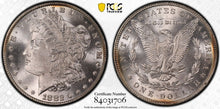 Load image into Gallery viewer, 1882-P Morgan Silver Dollar PCGS MS65 -- Strong Strike, Frosty &amp; Blast White

